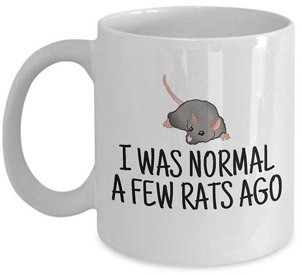 15 Cutest Gifts for Rat Owners Exotic Animal Supplies