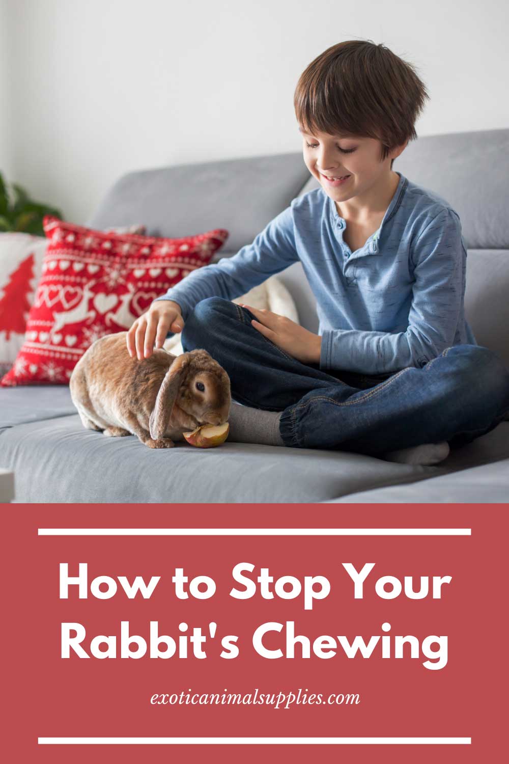 How to Stop Pet Rabbits From Chewing