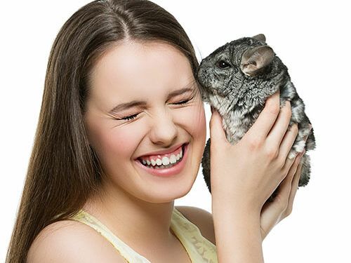 How to Bond with Your Pet Chinchilla