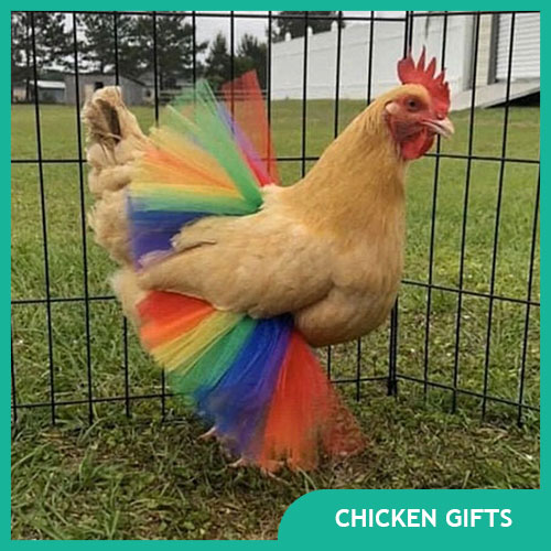 20 Amazing Gifts for Backyard Chicken Keepers