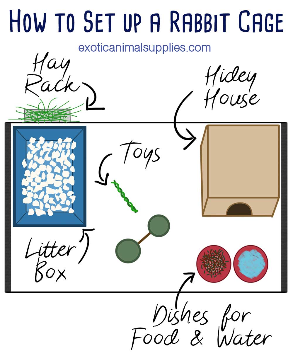 Setting up a outlet rabbit cage
