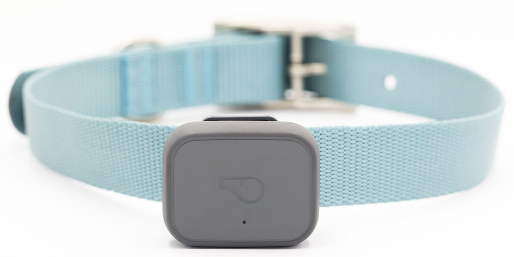 5 Best Bluetooth & GPS Cat Trackers